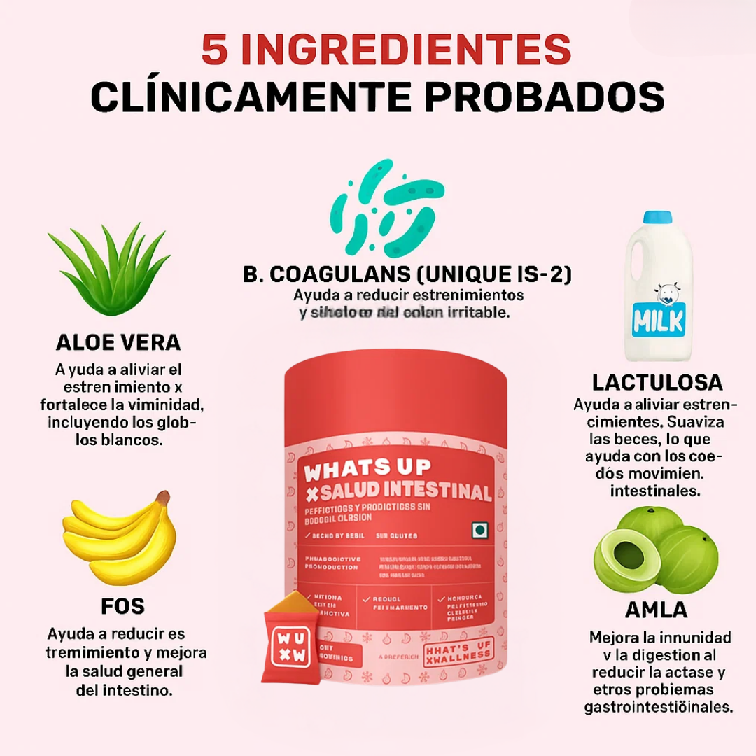 Gomitas Gut Health | Mejora Tu Salud Digestiva